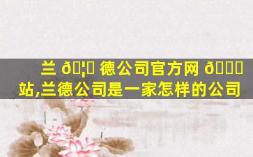 兰 🦄 德公司官方网 💐 站,兰德公司是一家怎样的公司